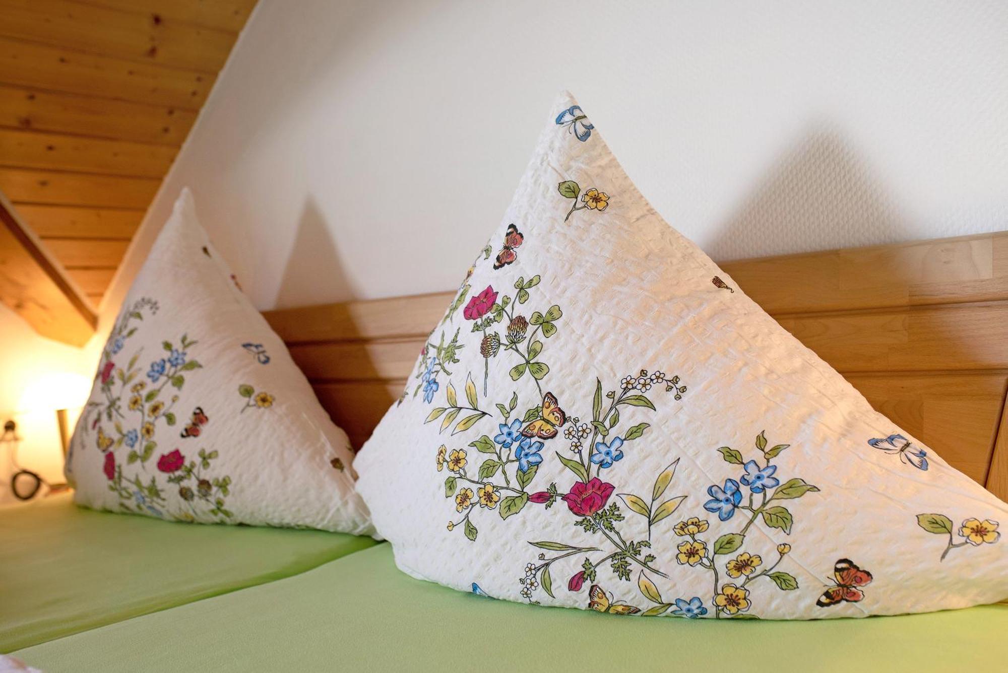 Ferienwohnung Blasi Mit Alpensicht Ibach エクステリア 写真