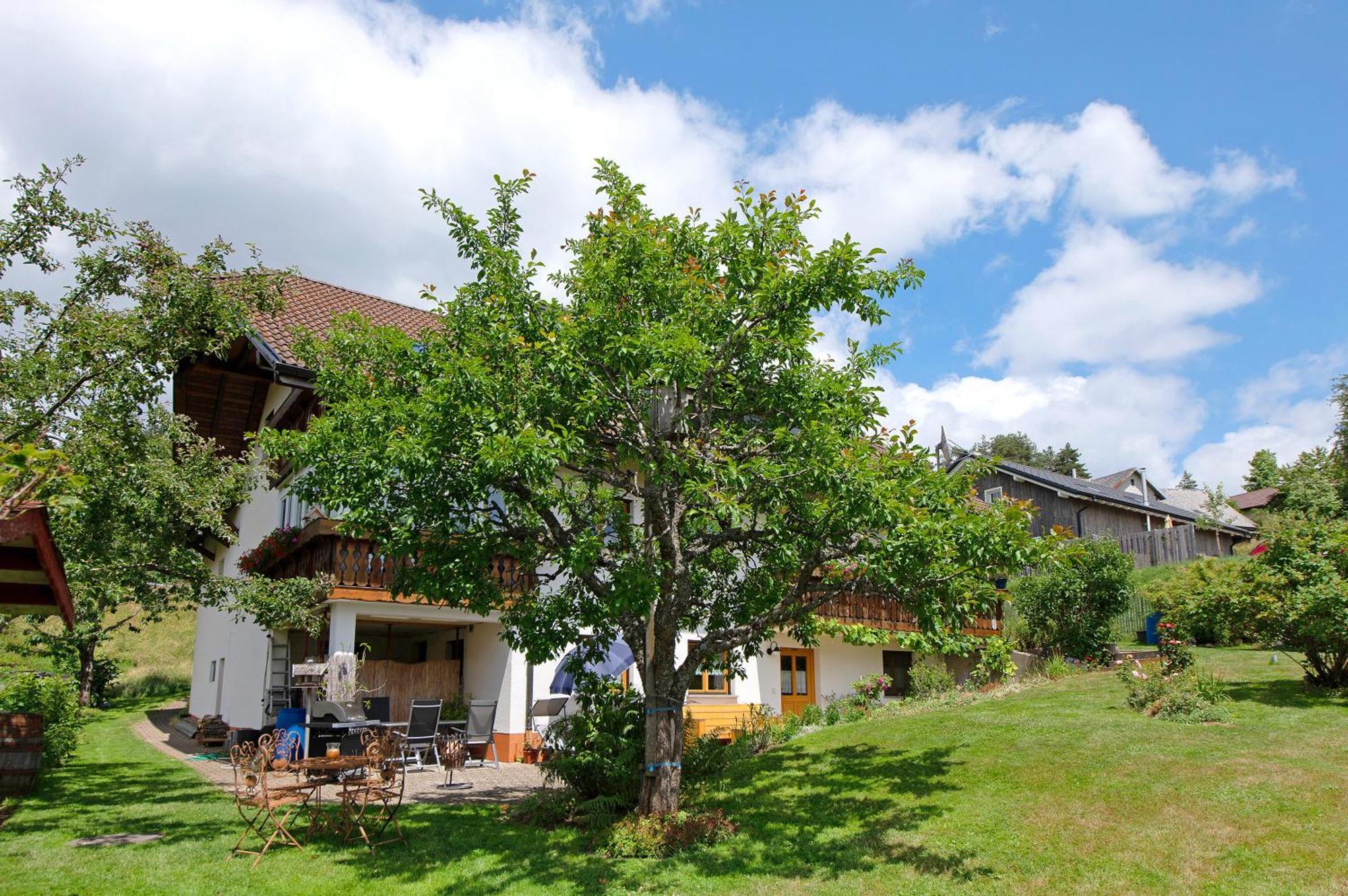 Ferienwohnung Blasi Mit Alpensicht Ibach エクステリア 写真