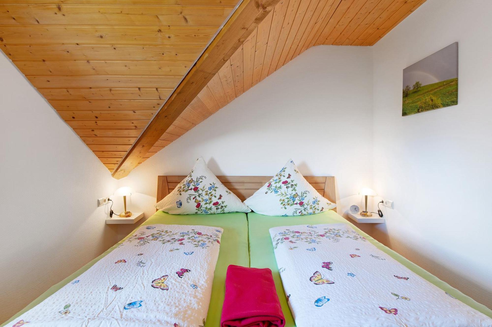 Ferienwohnung Blasi Mit Alpensicht Ibach エクステリア 写真