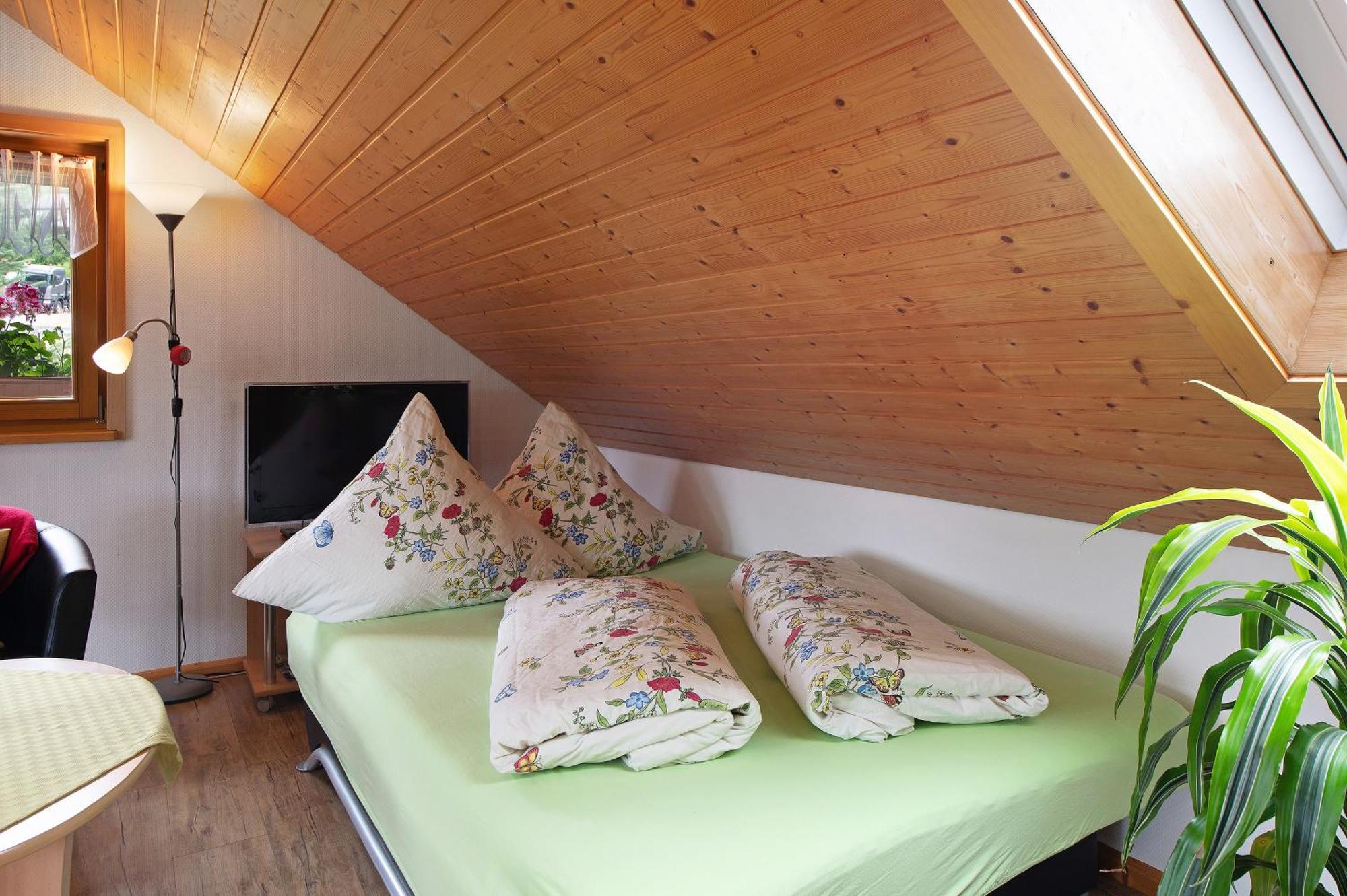 Ferienwohnung Blasi Mit Alpensicht Ibach エクステリア 写真
